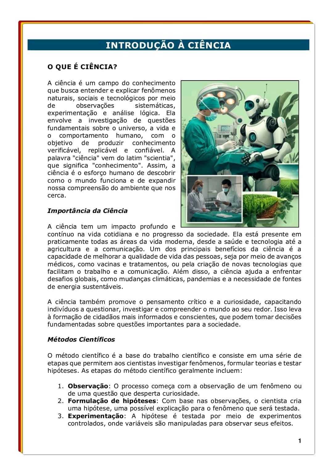 Imagem-do-WhatsApp-de-2025-01-05-as-13.39.16_accd3e30.jpg